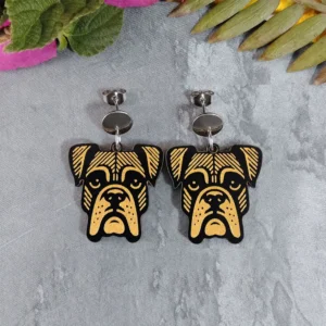 Aretes Boxer
