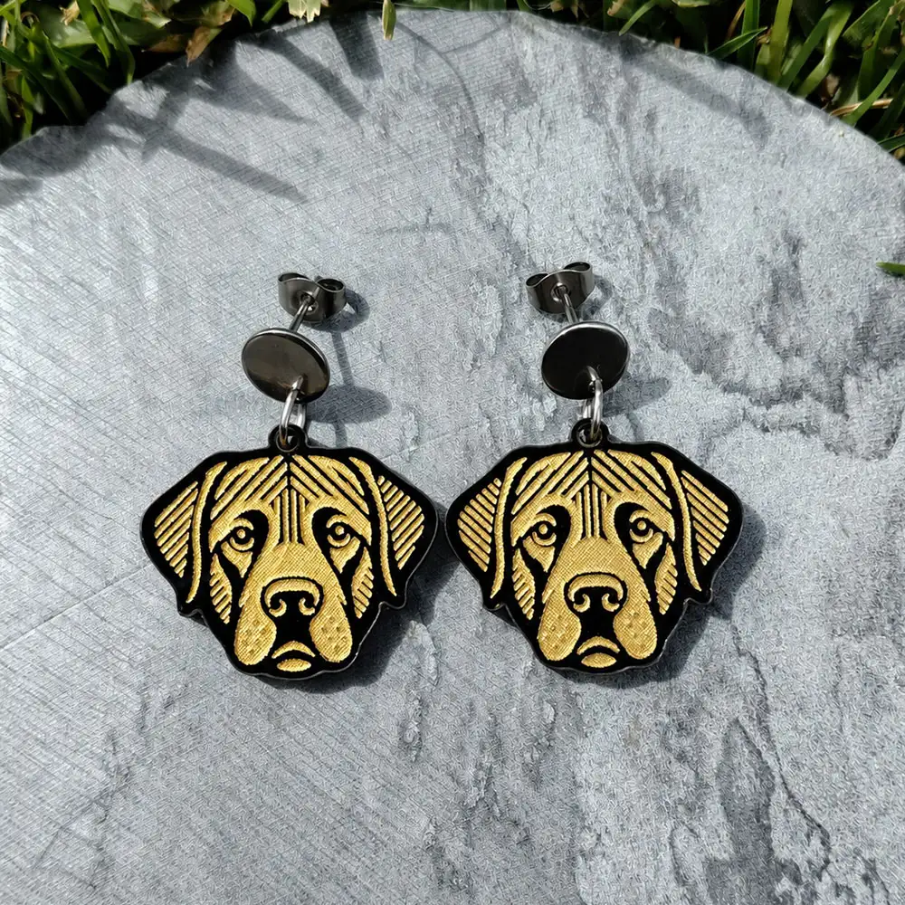 Aretes Labrador Retriever